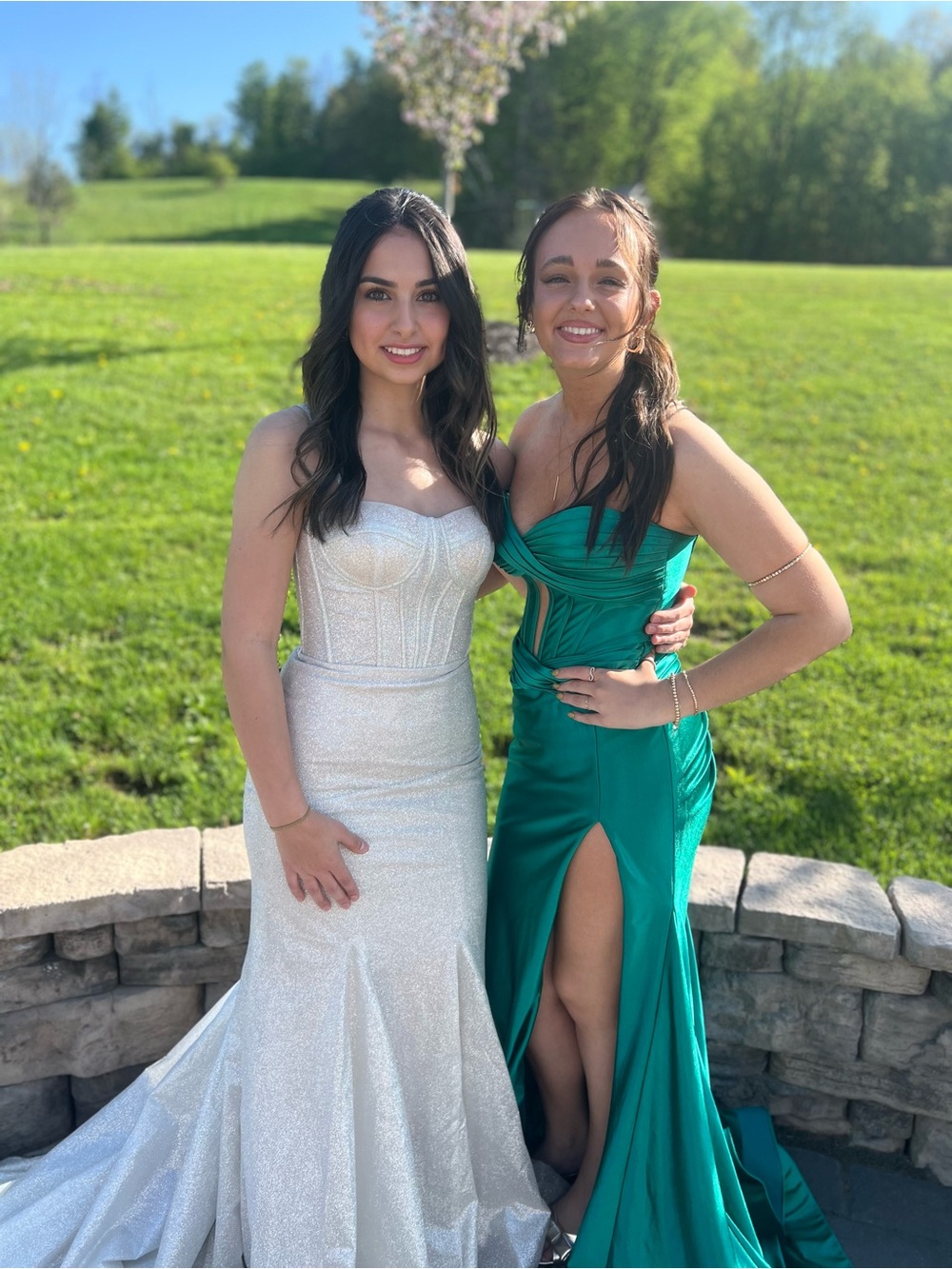 Elegant Mermaid Dress